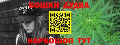 гидра Будённовск