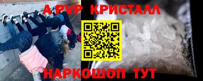 гидра Будённовск