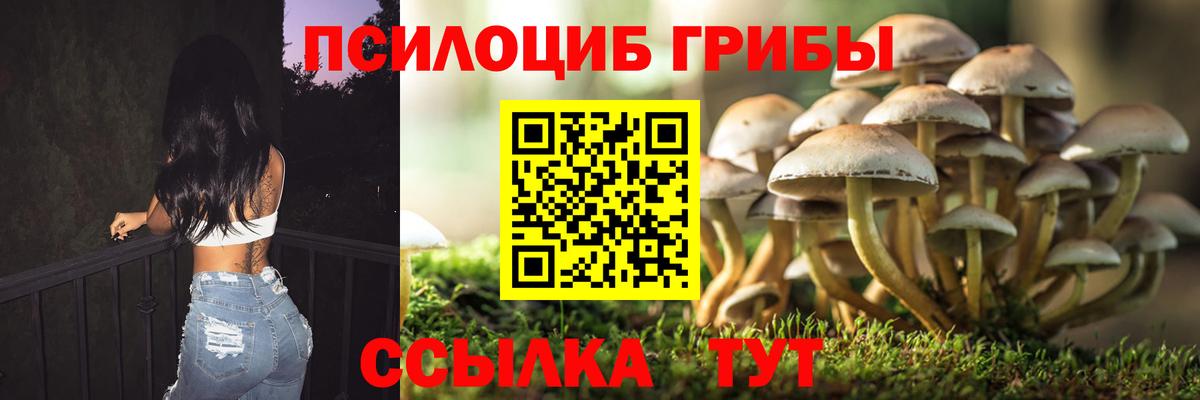 хочу наркоту  Галлюциногенные грибы мицелий  Вход с VPN  Нурлат 